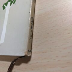 『小さき者へ・生れいづる悩み』有島武郎　新潮文庫の画像