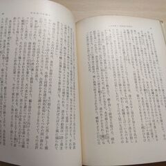 『小さき者へ・生れいづる悩み』有島武郎　新潮文庫の画像