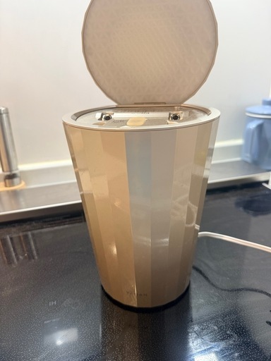 YA-MAN ⭐️スチーマー びがんき　美顔器