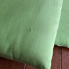 １０月初め処分！座布団２枚の画像