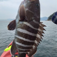 カヤックフィッシング仲間募集