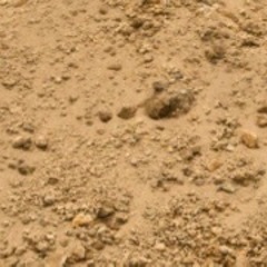 庭にある残土の搬出処分いくら位でお願い出来すか？