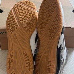 卓球シューズの画像