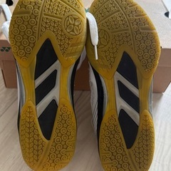 卓球シューズの画像