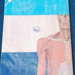 解剖　プロメテウス　運動器の画像