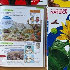 ふれーべるフレーベル図鑑12冊セットの画像