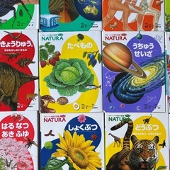 ふれーべるフレーベル図鑑12冊セットの画像