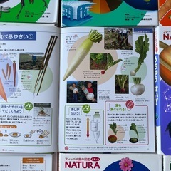 ふれーべるフレーベル図鑑12冊セットの画像