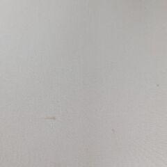 トゥルースリーパーの画像