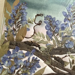 額　押し花　Aの画像