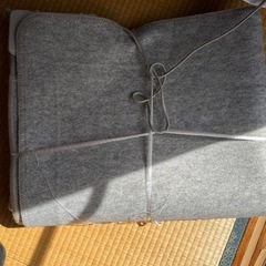 【取引確定
】ホットカーペットの画像