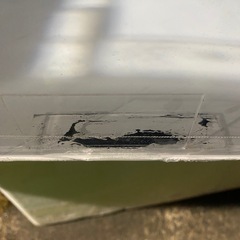 大型水槽の画像