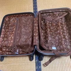 受け渡し決定　スヌーピー　キャリーケース　2.3泊用の画像