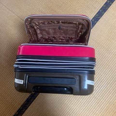 受け渡し決定　スヌーピー　キャリーケース　2.3泊用の画像