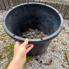 果樹用植木鉢　大きいサイズ