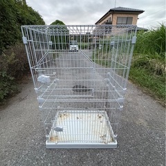 キャットケージ