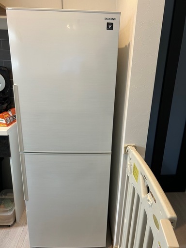 SHARP 285ℓ冷蔵庫2020年【決定しました！】