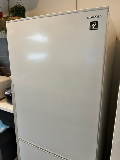 SHARP 285ℓ冷蔵庫2020年【決定しました！】