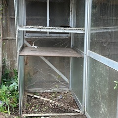 戸外用　手製の温室の画像