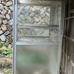 戸外用　手製の温室の画像
