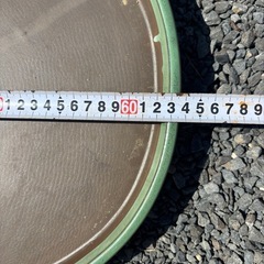 水盤の画像