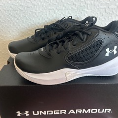 バッシュ　アンダーアーマー　under armor 24.5cmの画像