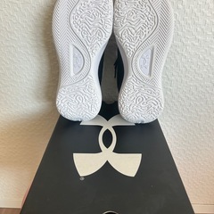 バッシュ　アンダーアーマー　under armor 24.5cmの画像