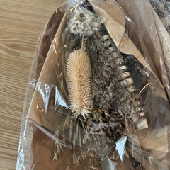 ドライフラワー2コ💐の画像