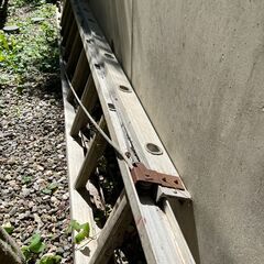 2連はしご　7m　あげます（引き取り限定）の画像