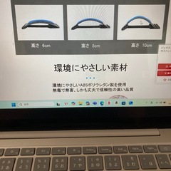 筋力と体感をトレーニング。バック、ストレッチャー(背中。腰。肩)の画像