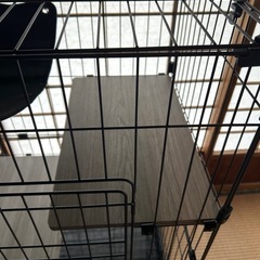 猫用ゲージ　アイリスオーヤマ　 の画像
