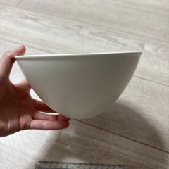 【埼玉】電子レンジ、オーブン、冷凍庫、食器洗い機に対応！TAMAKI フォルテモア　軽量強化磁器の画像