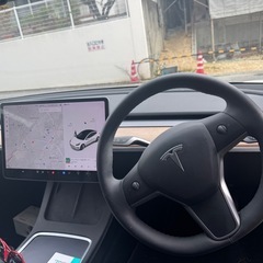 テスラモデル3 RWDチャデモアダプター日本製付の画像