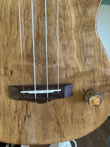 Big  Ukulele サイレントウクレレ【コンサートサイズ】