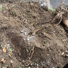 良質の土差し上げます 土 無料　の画像