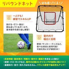 ✨新品✨ にじいろぱれっと ダブルフェイストレーニングネット⚽🏀の画像