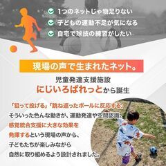 ✨新品✨ にじいろぱれっと ダブルフェイストレーニングネット⚽🏀の画像