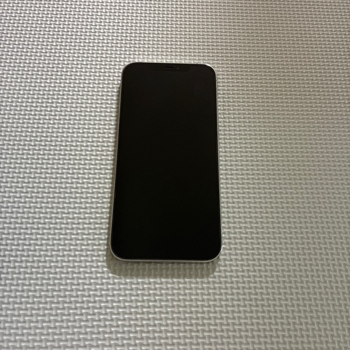 その他 iPhone12proMax