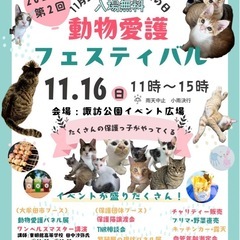 諏訪公園にて保護ニャンズ・フリーマーケット！