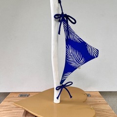 ビーチ号の画像