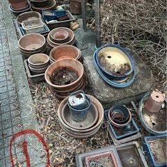 盆栽　盆栽鉢　植木鉢