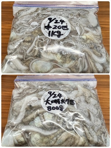 ♦︎中〜特大27匹 北谷♦︎