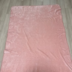 トイレマット玄関マット2枚ブランケット計４点セットの画像