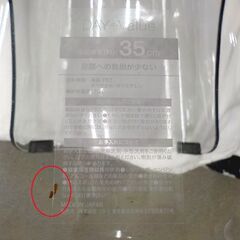 風呂いす Nアーバン 座面高35㎝ バスチェア クリア ニトリ NURBAN 西岡店の画像