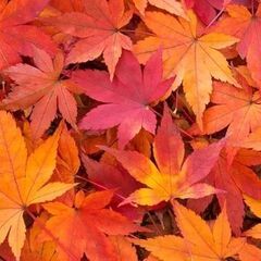 🔶短期！長期！日勤！夜勤！やりたい日だけ選んでシフトイン！建築系...