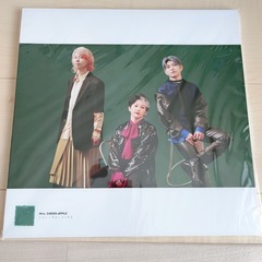 Mrs. GREEN APPLE LPサイズフォトポスター19枚