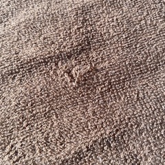 タオルケットの画像