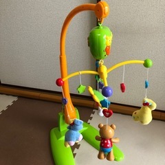 ⭐︎メリーちゃん⭐︎の画像