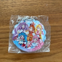 新品未使用❣️広がるSkyプリキュア