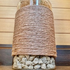 観葉植物　ポリシャスとガラス製鉢カバーの画像
